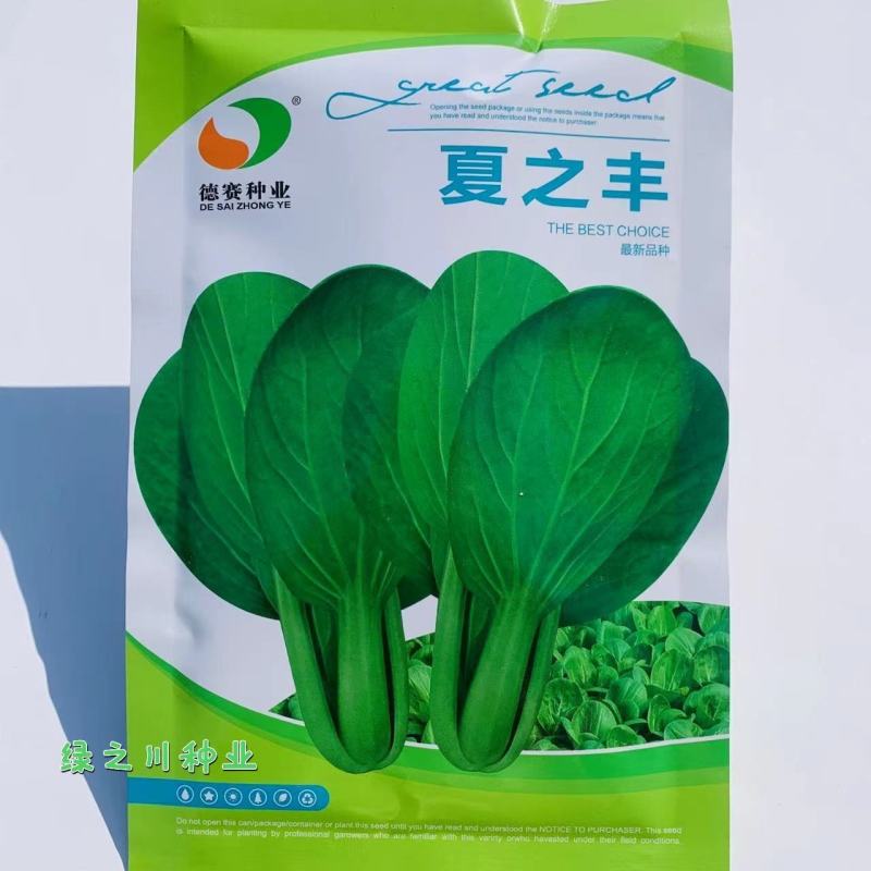 一代交配夏秋耐热青梗菜种子叶色油绿有光泽抗热抗病青菜种子