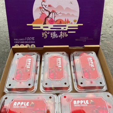 珍珠油桃