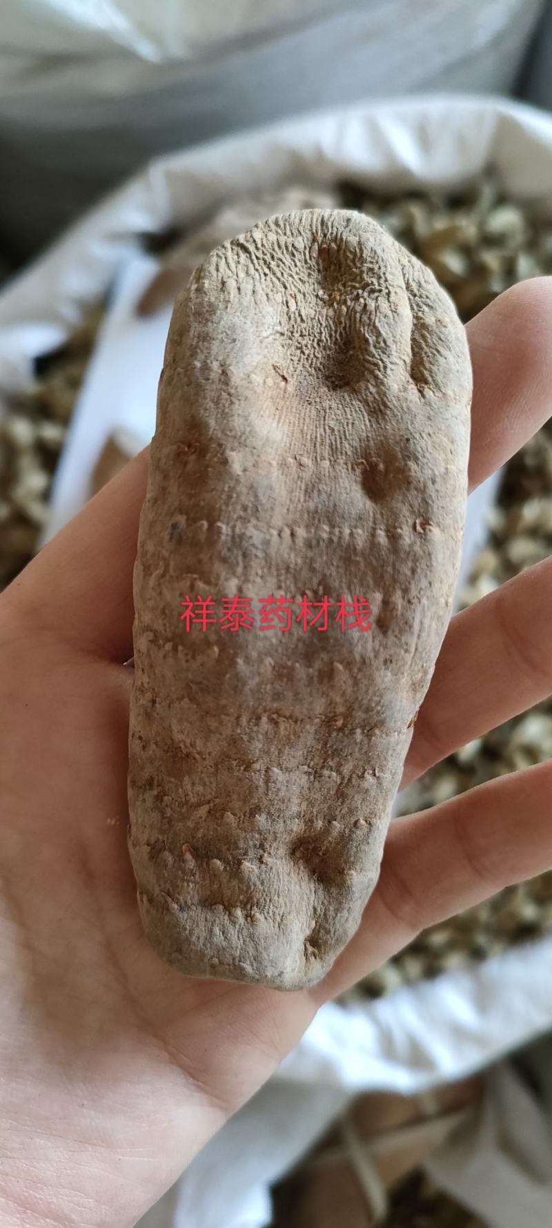 （热销）天麻天麻个大量货源地道药材实物拍摄祥泰药材栈