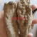 (热销)天麻天麻个大量货源地道药材实物拍摄祥泰药材栈