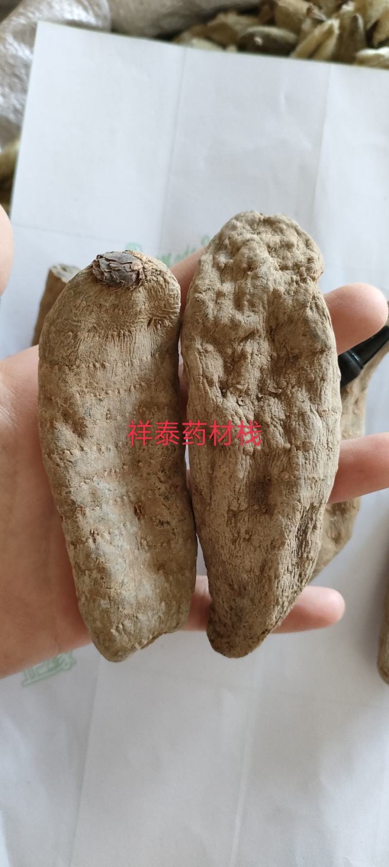 （热销）天麻天麻个大量货源地道药材实物拍摄祥泰药材栈