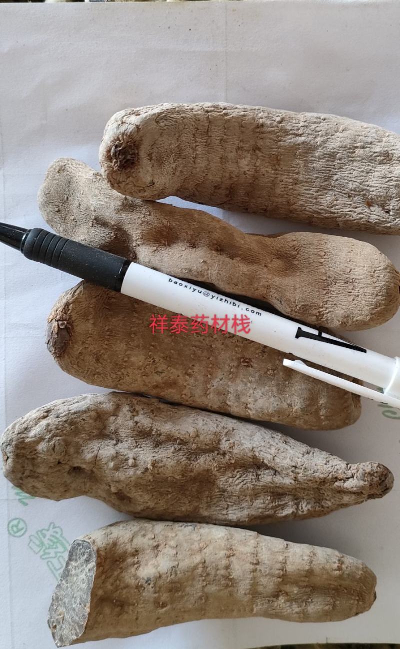 （热销）天麻天麻个大量货源地道药材实物拍摄祥泰药材栈