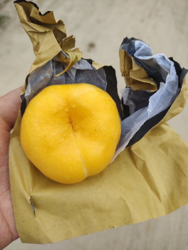 黄油蟠~大荔精品，自主品牌，纸袋黄桃，甜在心里