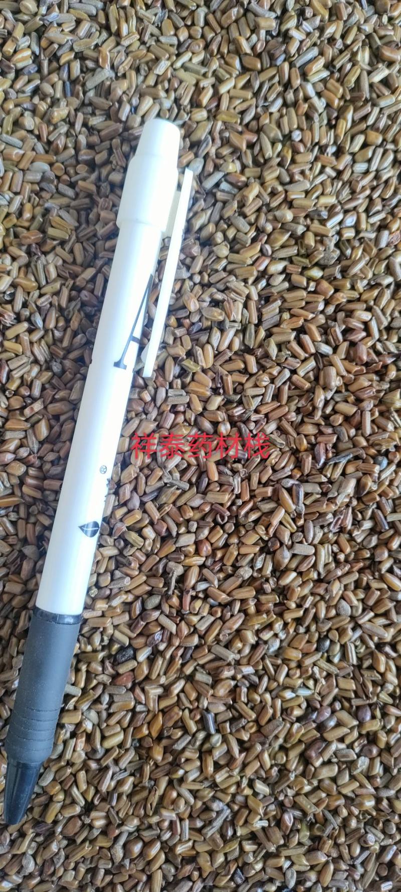 （热销）草决明决明子进口一手货源实物拍摄量多从优