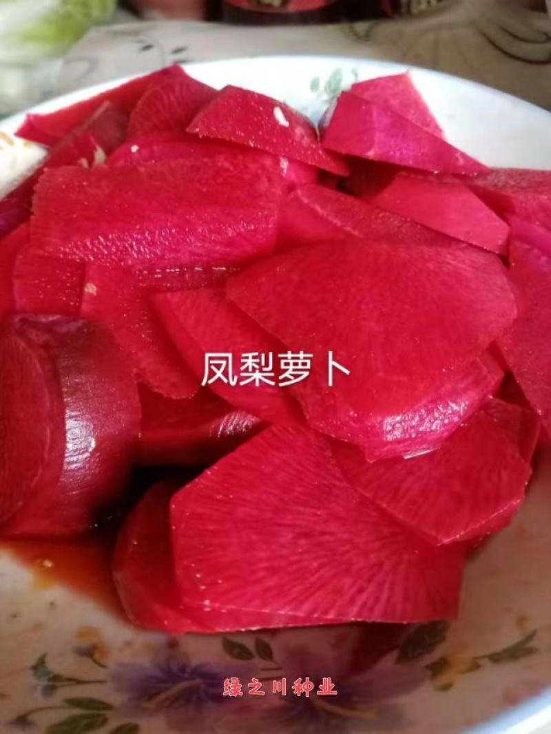 杂交一代甜脆水果萝卜种子凤梨萝卜种子紫皮紫肉萝卜种籽
