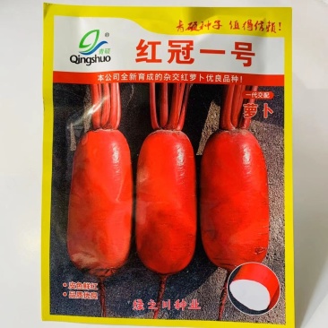 新育成杂交红萝卜种子红冠一号皮色鲜红肉白色板叶萝卜种