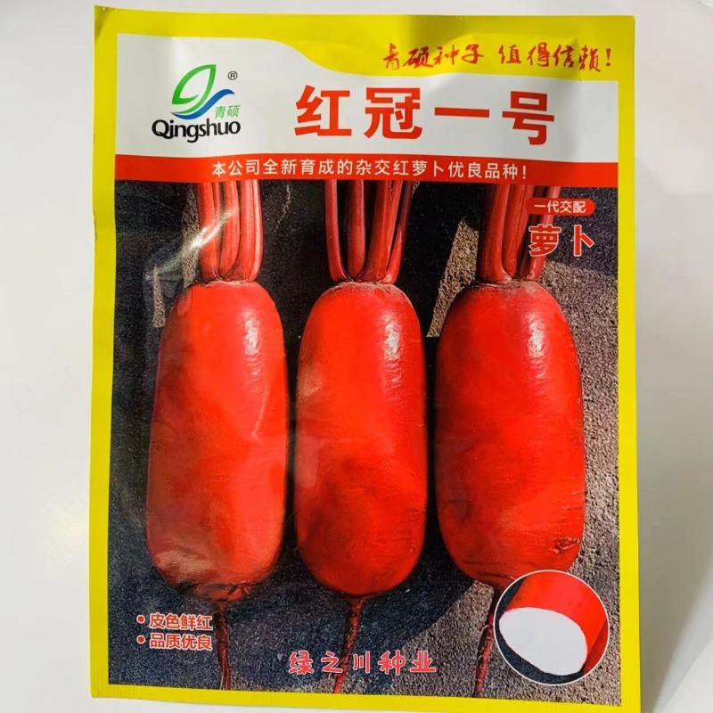新育成杂交红萝卜种子红冠一号皮色鲜红肉白色板叶萝卜种