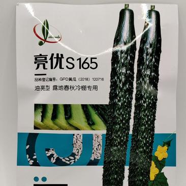亮优S165精品黄瓜种子品质优产量高