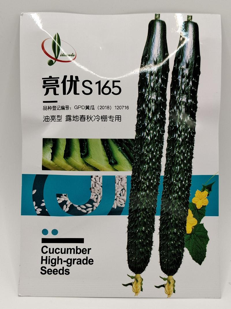 亮优S165精品黄瓜种子品质优产量高