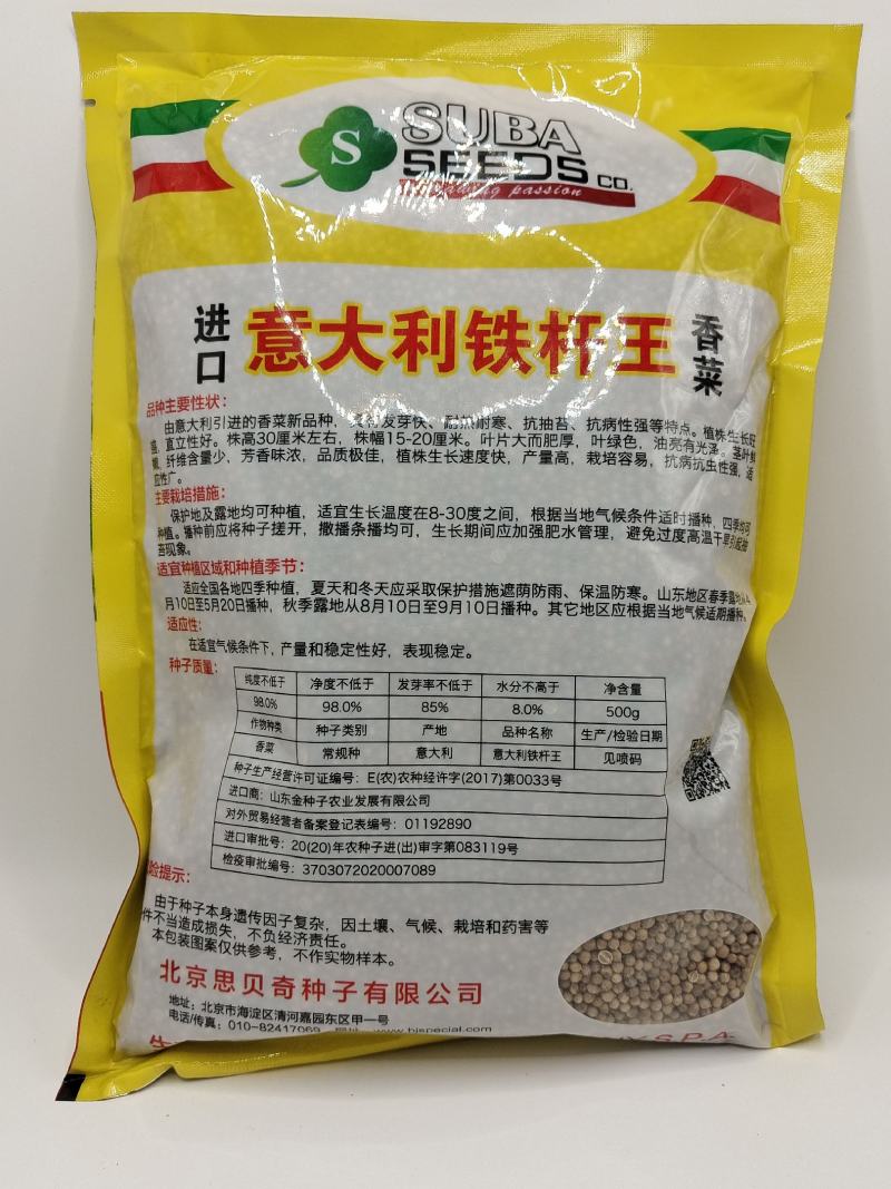 意大利铁杆香菜种子大叶油亮生长快