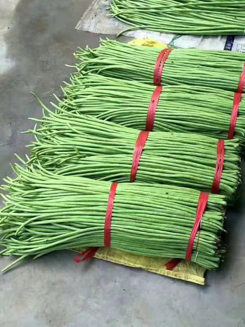 豆角精品河北青条豆角大量供应中产地直发价格便宜