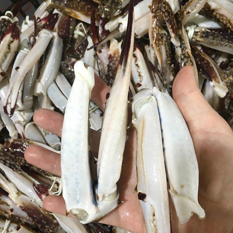 蟹钳新鲜冷冻醉蟹钳麻辣蟹钳蟹钳脚花蟹钳小吃酒店食材批发
