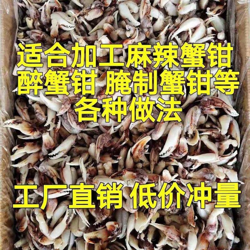 蟹钳新鲜冷冻醉蟹钳麻辣蟹钳蟹钳脚花蟹钳小吃酒店食材批发