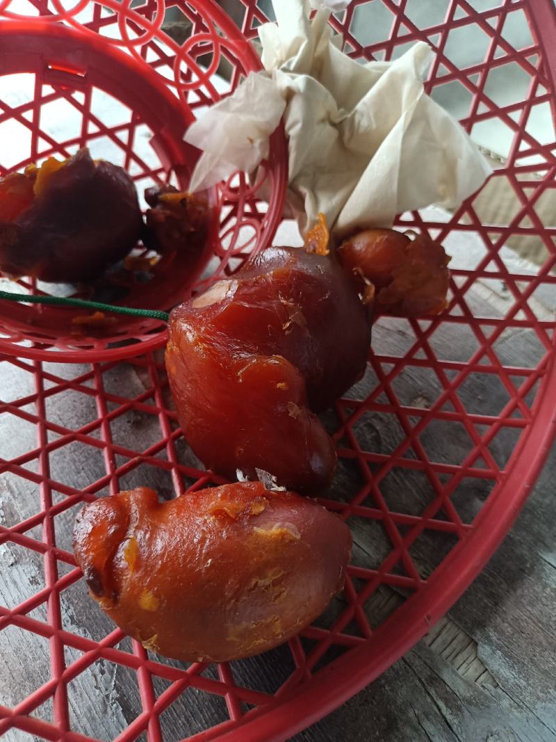 鸡宝，养了几年的老母鸡