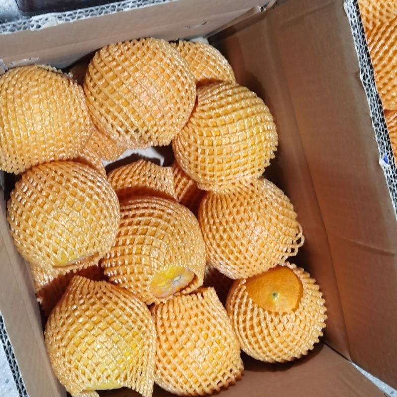 【橙味十足】湖北秭归伦晚脐橙新鲜水果产地直发全国批发