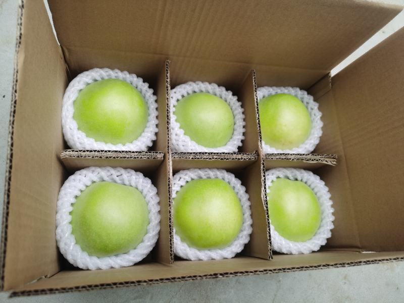绿宝石梨