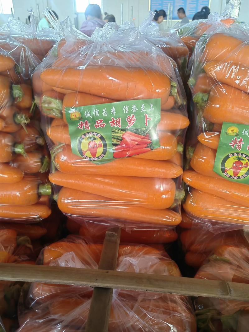 （精品水洗）三红胡萝卜，电商货，市场货，大量供应