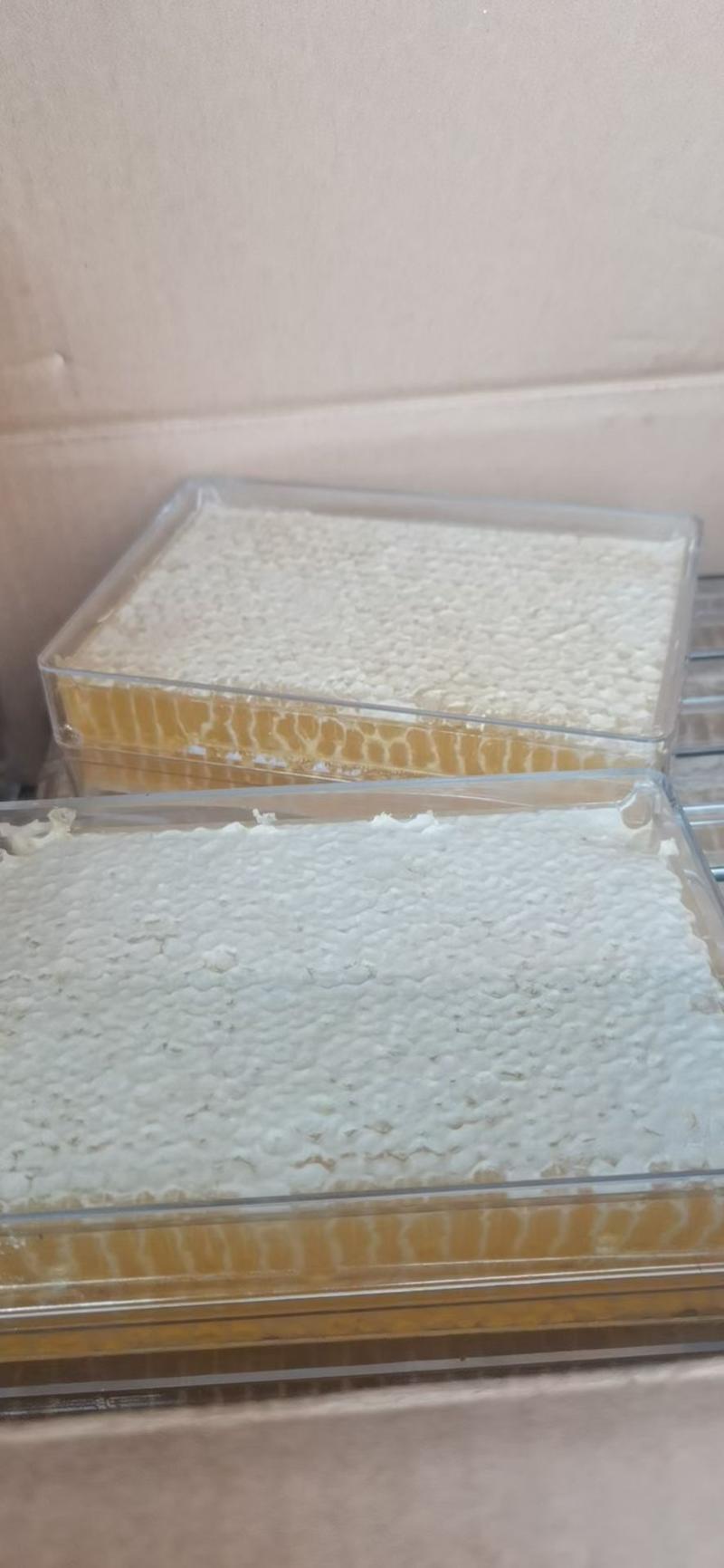 蜂巢蜜土蜂蜜2022年新巢蜜一斤装现货供应量大批发
