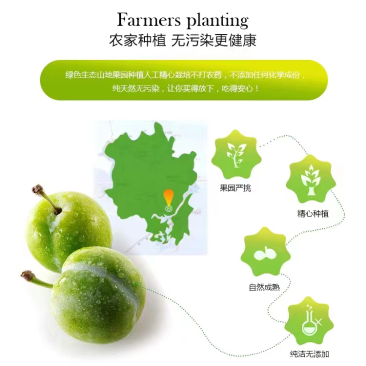 贵州酥李汁多味甜，个头大大量上市，欢迎老板联系