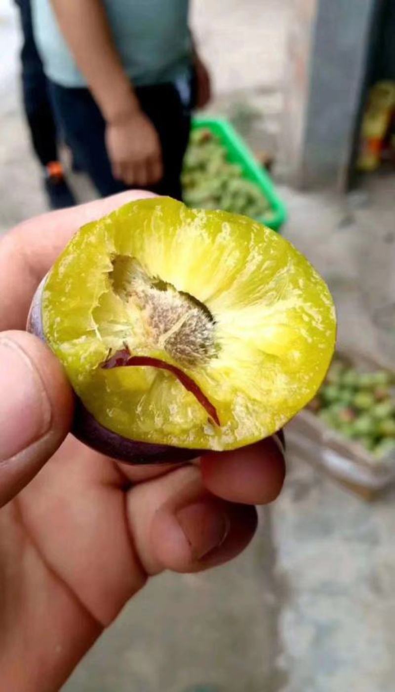 半边红李子质量有保障，物流全国发货，速度快发货速度快，包