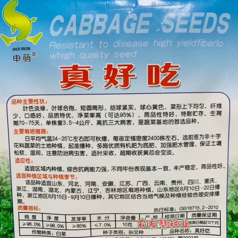 申萌真好吃大白菜种子合抱黄心白菜种子纤维少品质好秋播