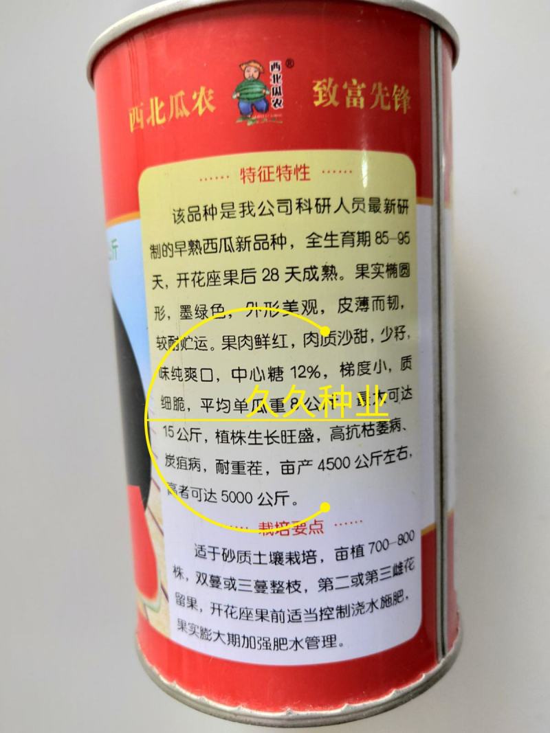 特大黑王西瓜种子懒汉黑霸王黑皮皮薄籽少抗重茬大田瓜果种孑
