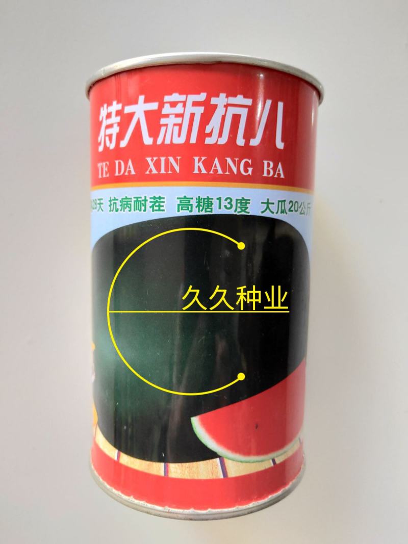 特大黑王西瓜种子懒汉黑霸王黑皮皮薄籽少抗重茬大田瓜果种孑