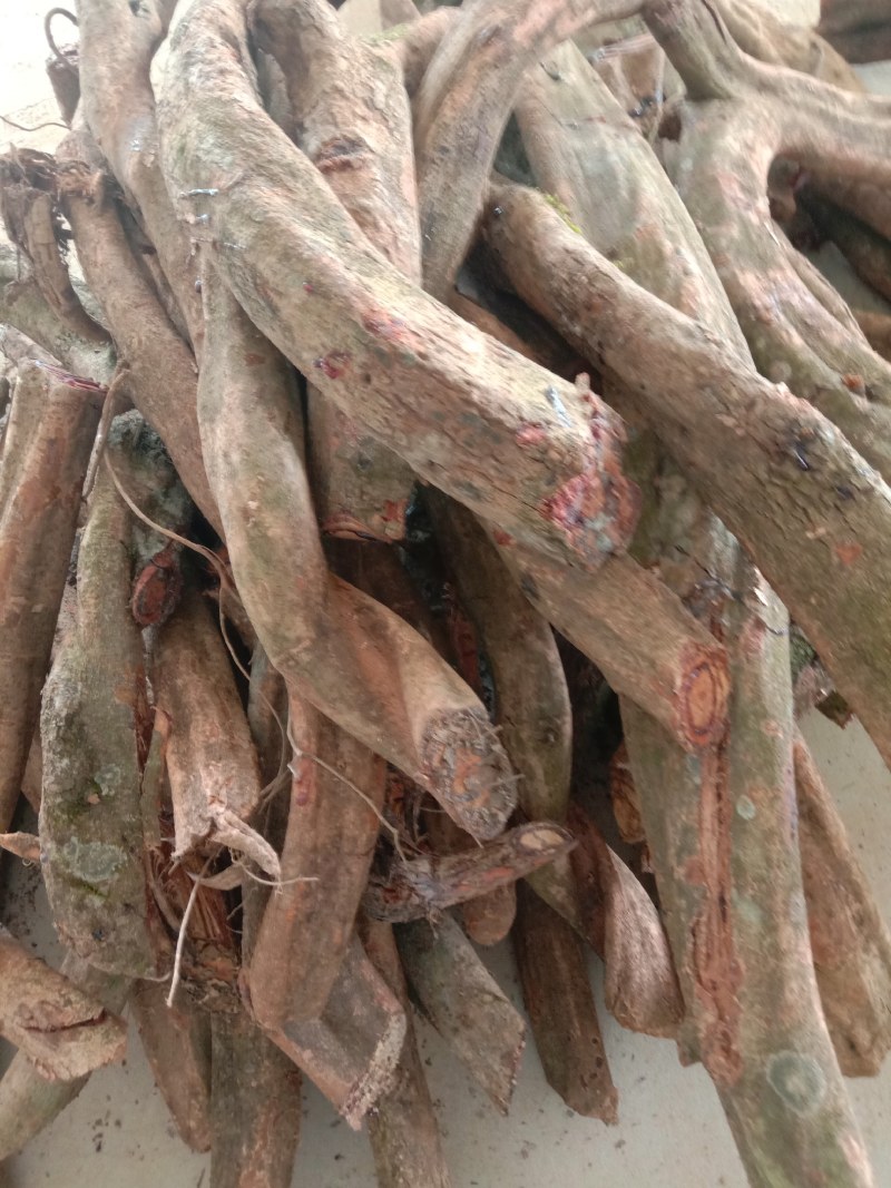 鸡血藤，野生鸡血藤，机切片，统片，含量达标