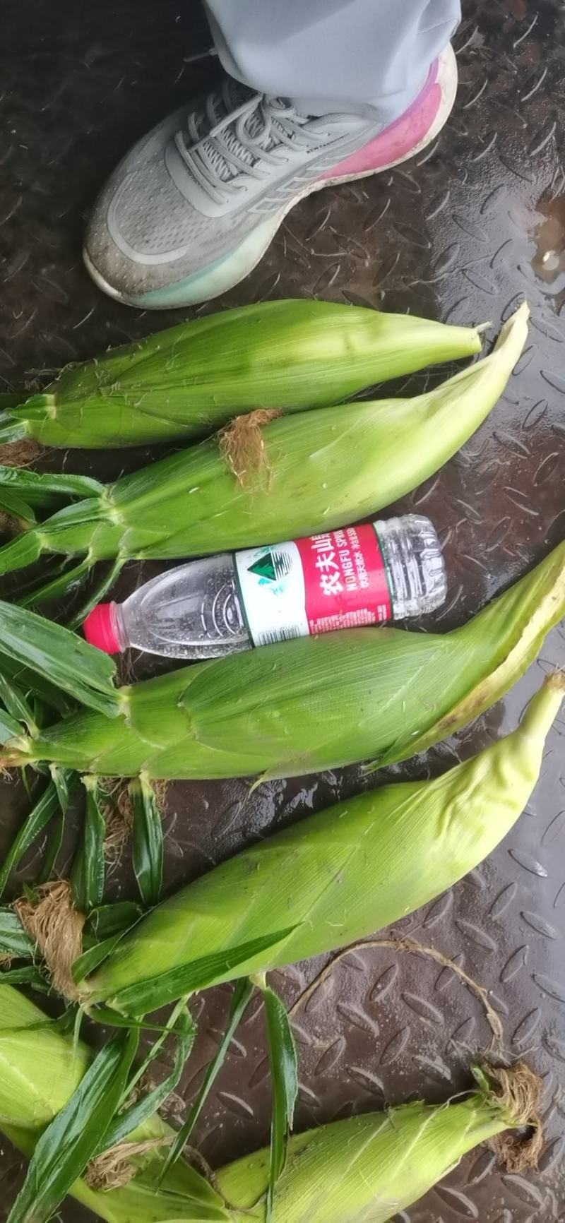 甜玉米