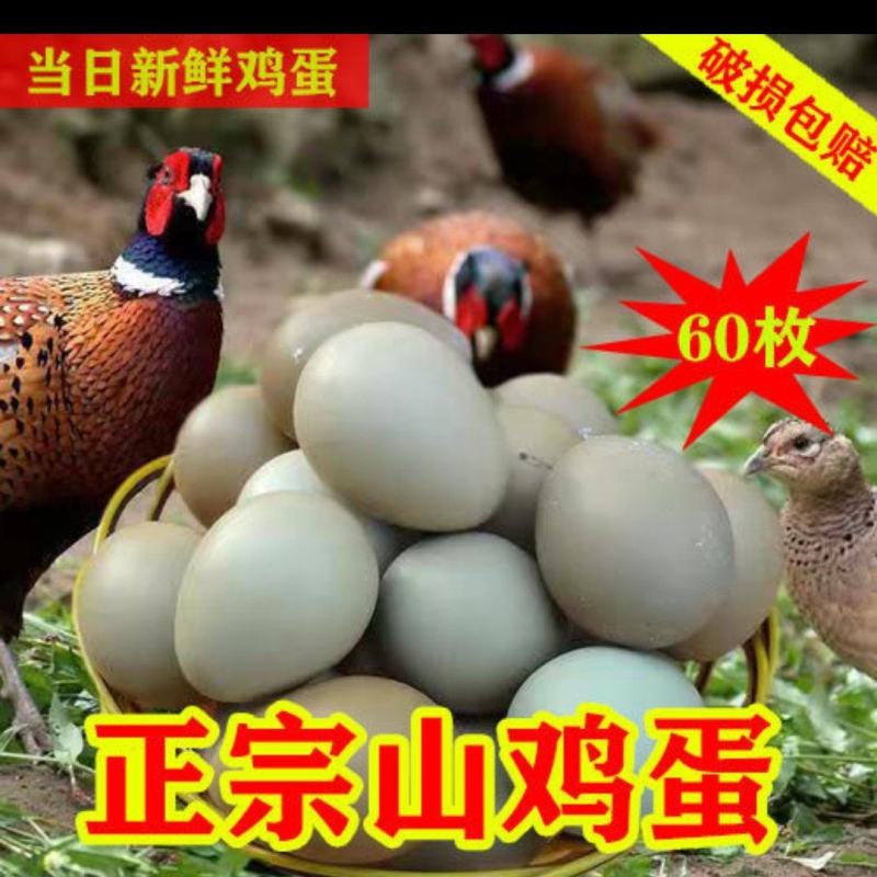 七彩山鸡蛋，，保证新鲜，破损包赔，生鲜食品，快递包邮，