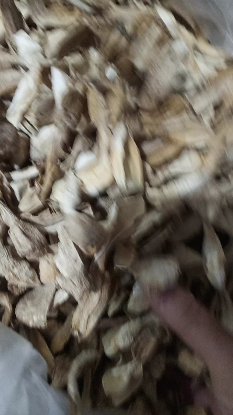 自种干草菇，质优价廉，一首货源，没有中间商。