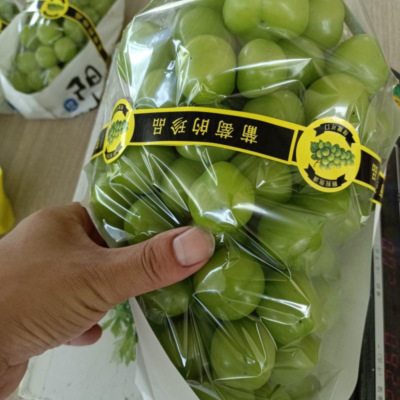 阳光玫瑰基地直销没有中间商赚差价量大价优