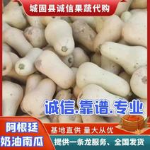 城固县精品奶油南瓜1-3斤，产地直发，一手货源，全国发货