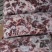 精选纯干牛碎肉，精修瘦度高，可发样品