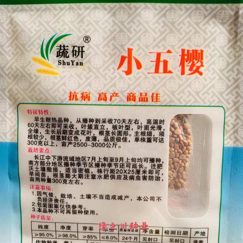 蔬研小五樱萝卜种子板叶型皮薄红皮白肉萝卜种子秋播萝卜