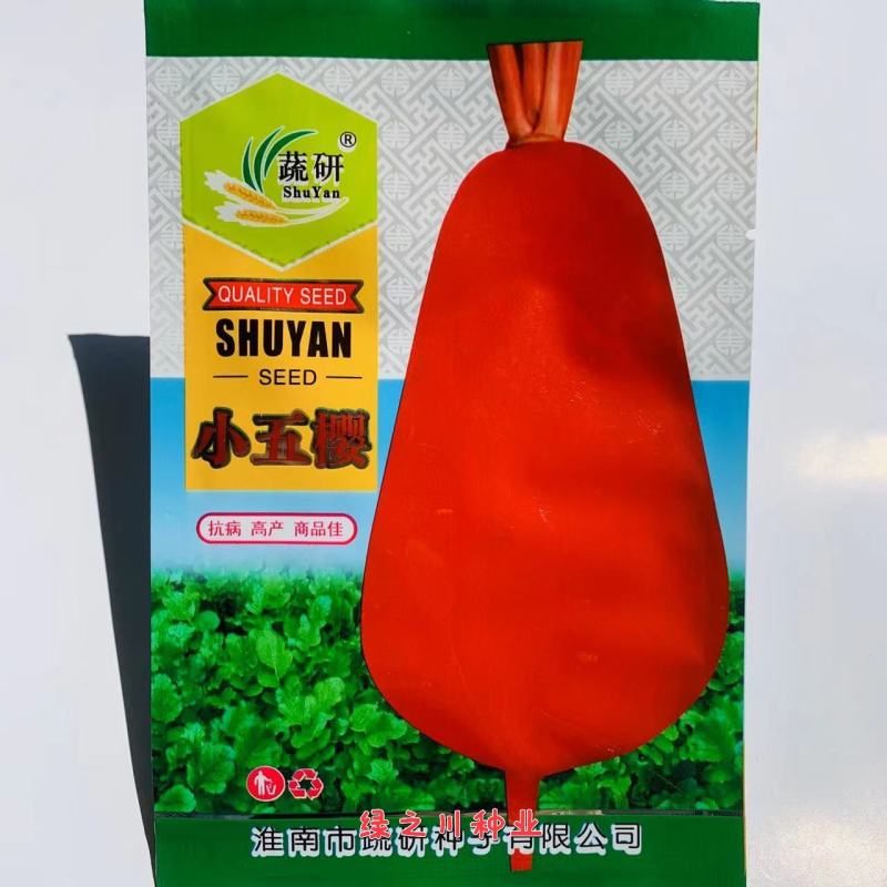 蔬研小五樱萝卜种子板叶型皮薄红皮白肉萝卜种子秋播萝卜