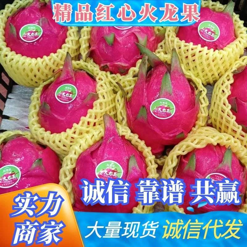 《精选》广西火龙果红心火龙果产地直发全国发货随行就市
