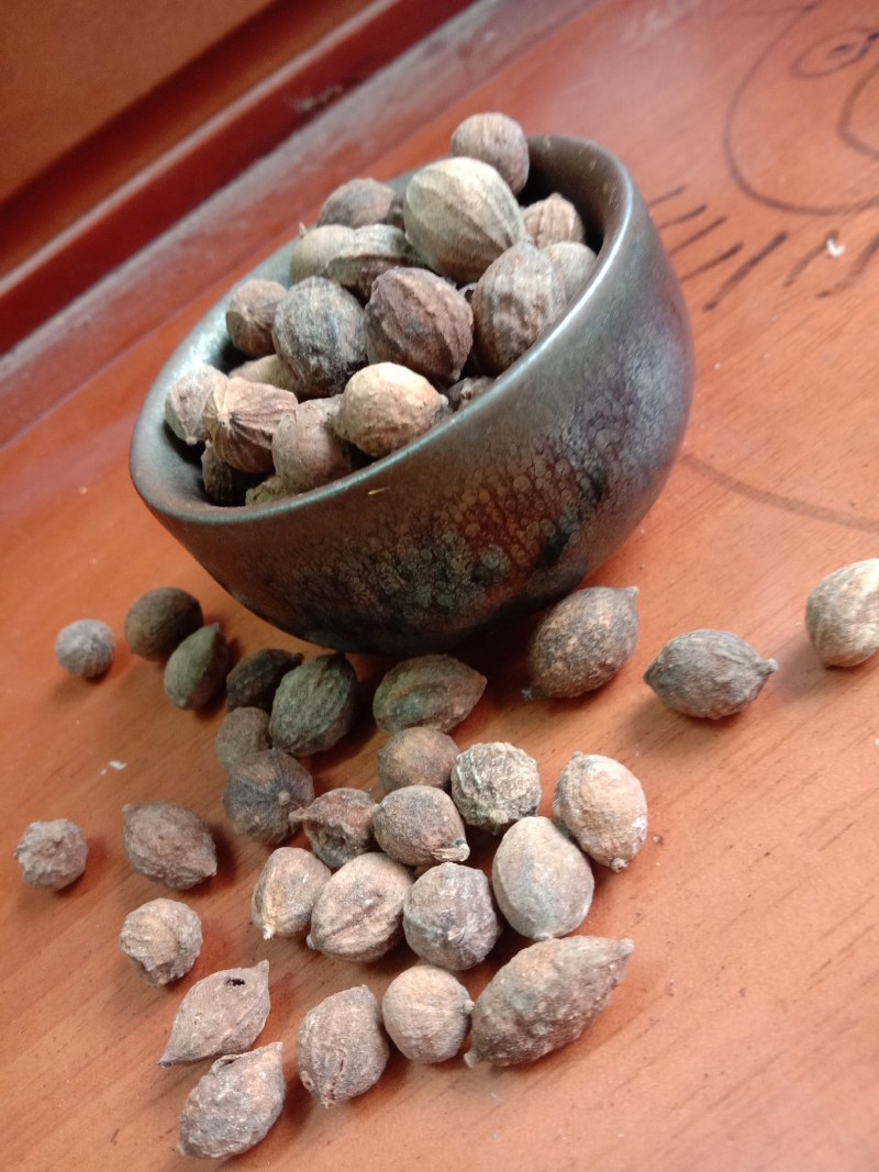 益智仁，中药材益智，新产，一手货源，欢迎咨询选购