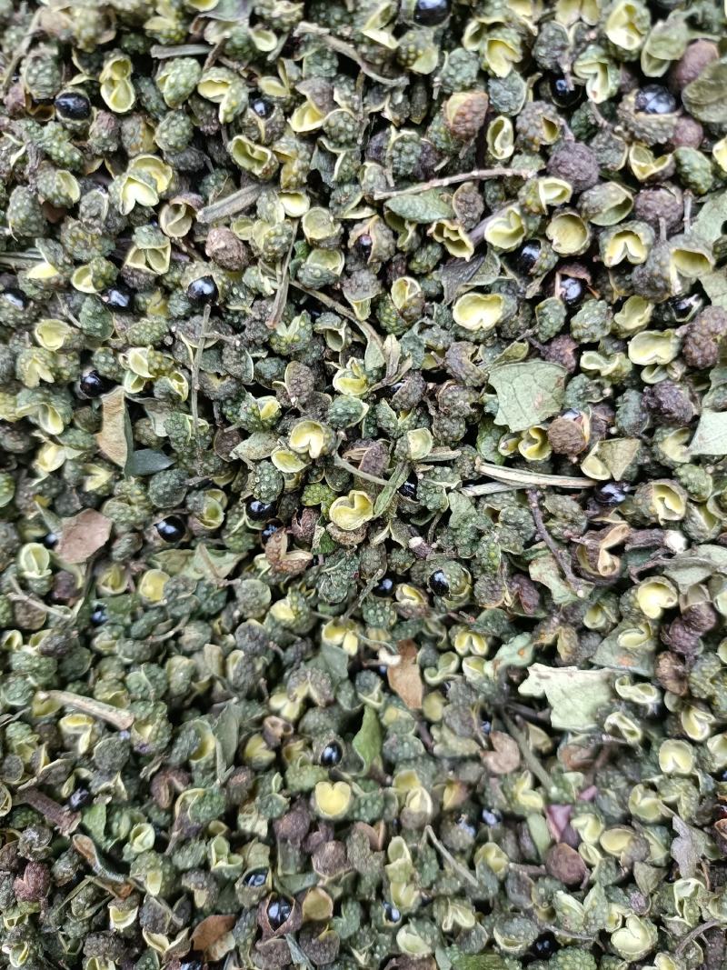 青花椒新干货