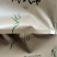 【热销中】云南精品春绿茶一手货源质量保障量大优先