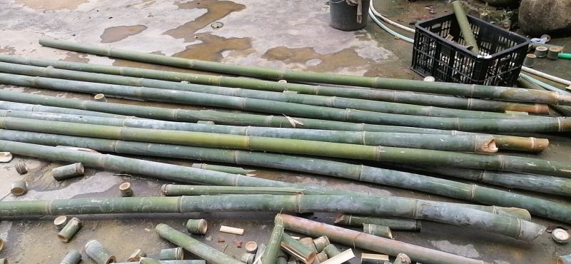 自家种的大量单竹，可以按顾客要求规格定做，新鲜竹子，量稳