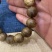 绿奇楠手链，香味浓浓，过手留香，品质好，手链是克价