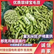 【热卖】精品毛豆上市做工厂豆荚和打米豆市场豆翠绿宝毛豆