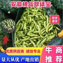 安徽毛豆翠绿宝毛豆鲜菜毛豆电商货产地直供市场全国发货