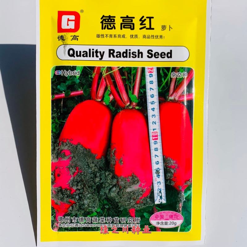 德高红萝卜种子耐热抗病红皮萝卜一代杂交种肉质白而细嫩