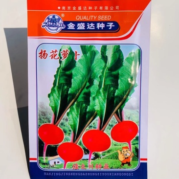 金盛达扬花萝卜种子皮红肉白外皮薄水分多较耐抽苔耐寒