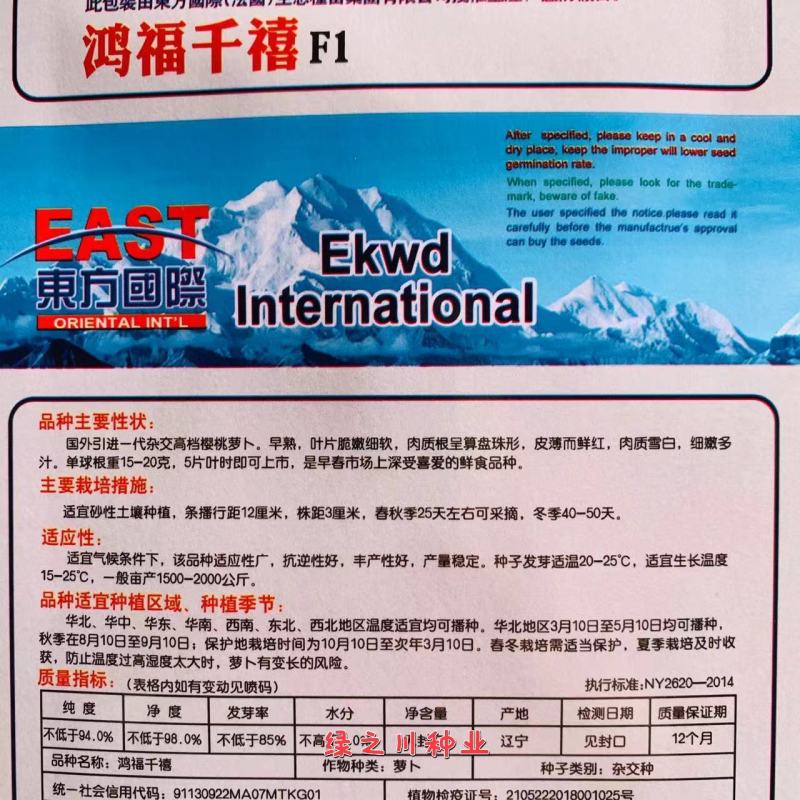 樱桃萝卜种子早熟皮薄而鲜红肉质雪白口感好，春秋冬萝卜