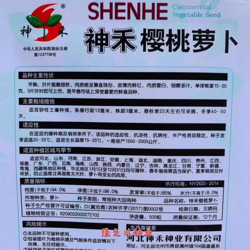 樱桃萝卜种子早熟皮薄而鲜红肉质雪白口感好，春秋冬萝卜