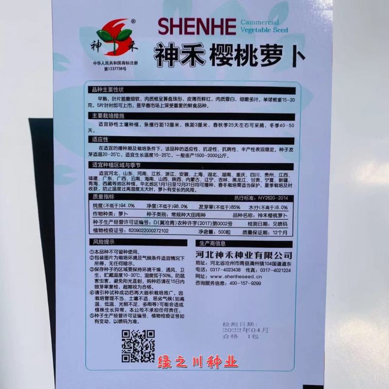 樱桃萝卜种子早熟皮薄而鲜红肉质雪白口感好，春秋冬萝卜