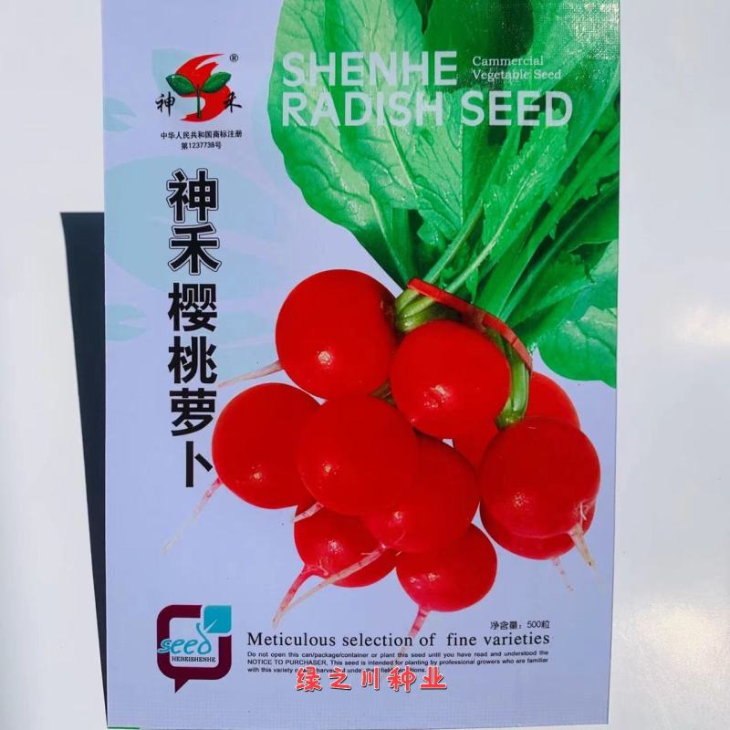 樱桃萝卜种子早熟皮薄而鲜红肉质雪白口感好，春秋冬萝卜